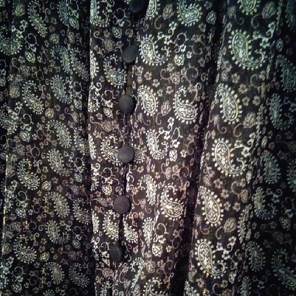 Zara Bohemian Poet Style Sheer Paisley Long Sleeve Blouse - Picture 6 of 11